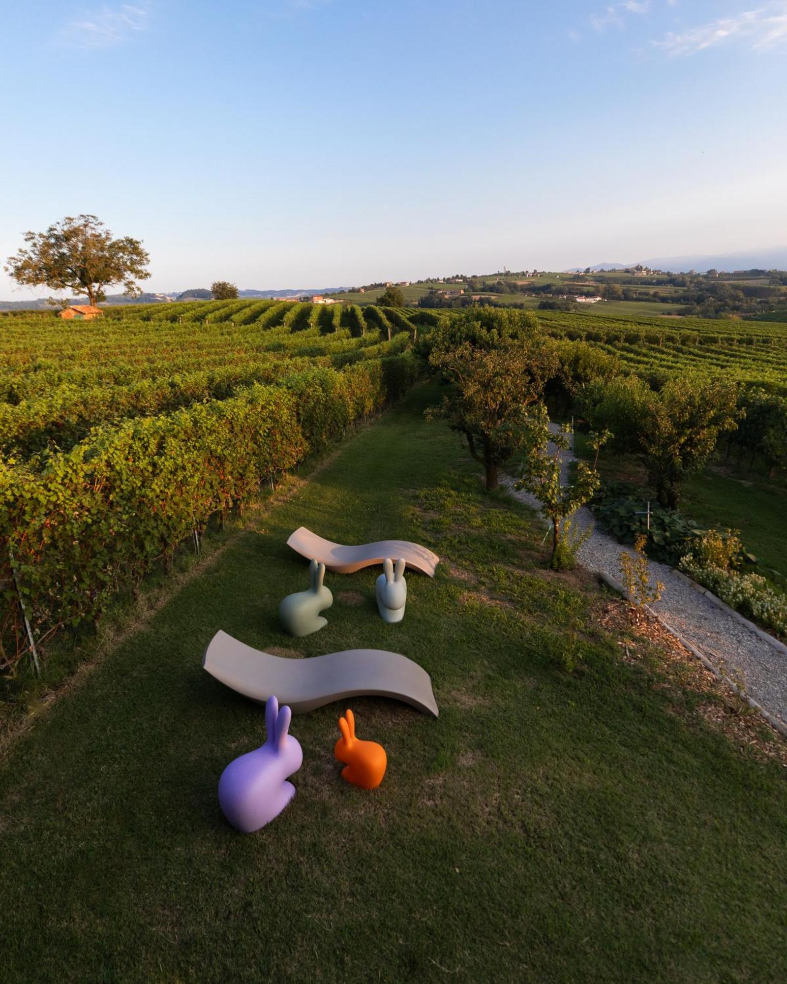 Vineho Apartment Barolo Exterior photo